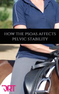 how-the-psoas-affects-pelvic-stability