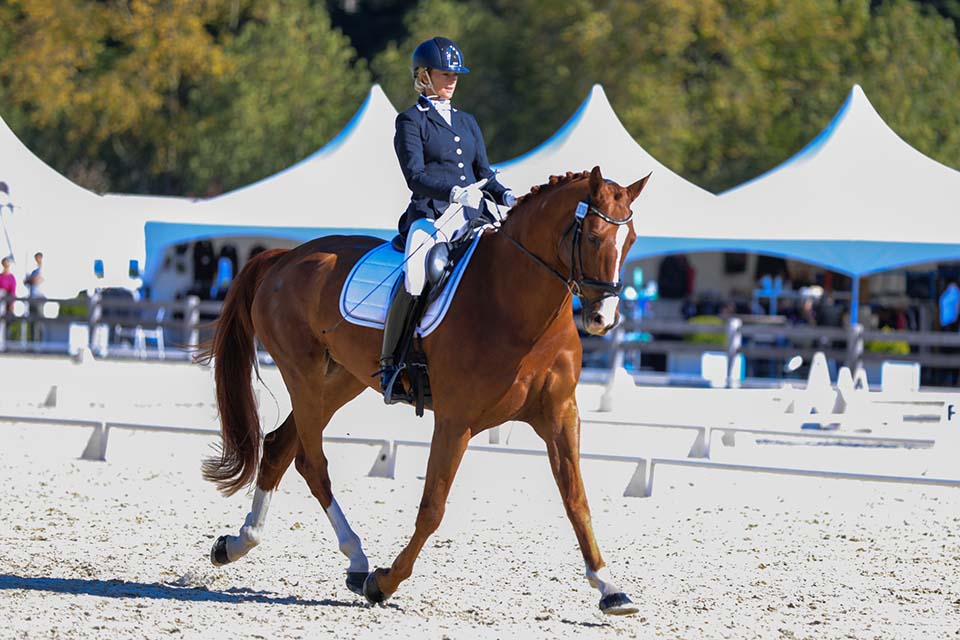 A rider sitting tall and balanced through the upper body in the saddle