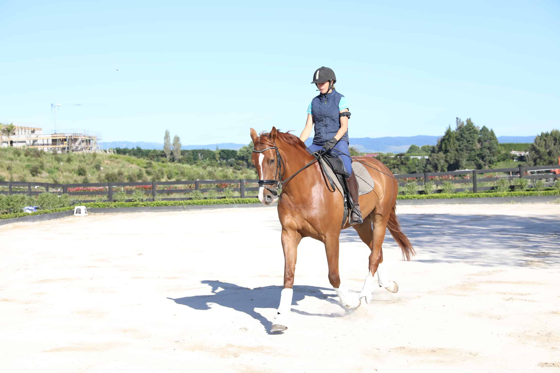 Tight Hip Flexors? Try This - EQUINE Ink