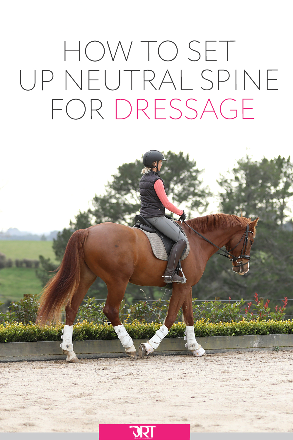 Neutral Spine For Dressage Riders - How To Set Up And Why It Matters