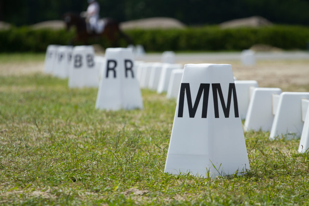 Dressage Arena Layout