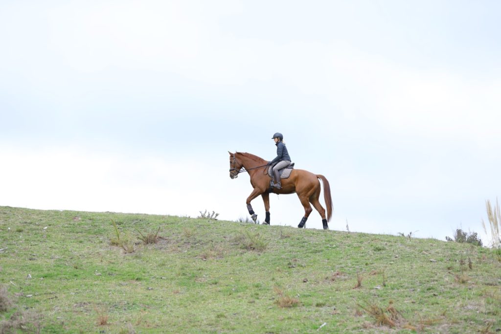Is horse riding exercise