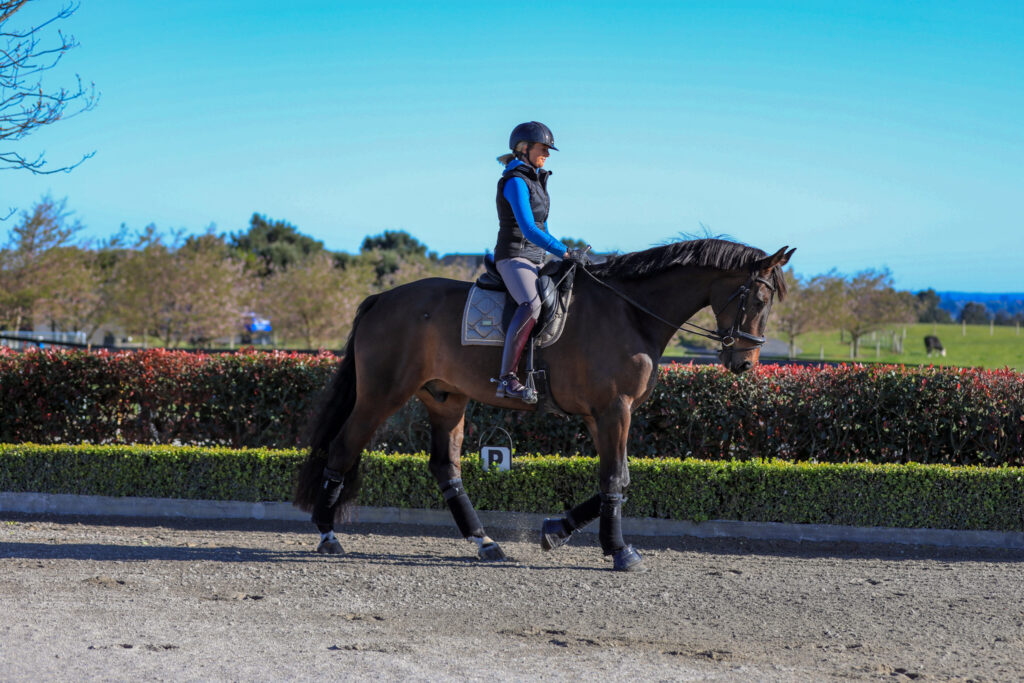How to apply the dressage pyramid of training to your training at home